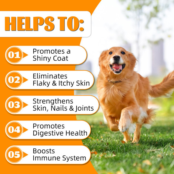 Antivp Liquid Collagen For Dogs Dog Collagen Drops With Biotin Msm Ginger Vitamins C & E - Boosts Skin & Coat Joint Health Digestion Immunity - Itch Relief - 60Ml Supplement