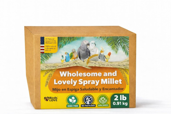 Birds Love 1Lb Wholesome Spray Millet For Birds Grown Harvested & Packed In The Usa 100% Natural Sun Dried Bird Treat Foraging Millet For Parakeets Cockatiels Conures Budgies & Parrots