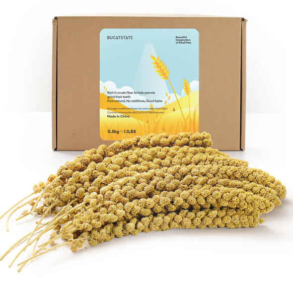 Bucatstate Spray Millet For Birds Sun-Dried Healthy Millet Parakeet Treats For Parrots Cockatiel Lovebird Finch Gmo- Parakeet Food - 1.1Lb