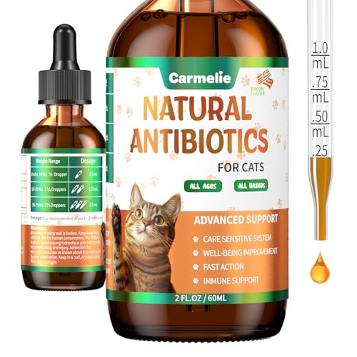 Carmelie Natural Antibiotics For Cats Cat Antibiotics For Allergy Relief Urinary Tract Support Itch Relief And Immune Support Promotes Urinary Tract Health Cat And Dog Supplemental Vitamins 2 Fl Oz