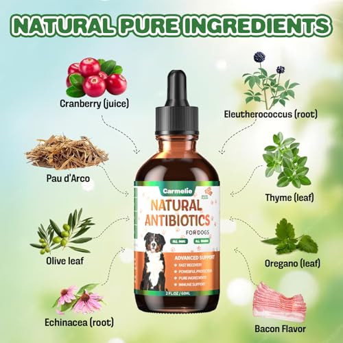 Carmelie Natural Antibiotics For Dogs - Dog Antibiotics Nutritional Supplements For Skin Issue Itch Relief Dog And Cat Herbal Supplement Drops For Pets Supports Skin Health - 60 Ml/2 Fl Oz