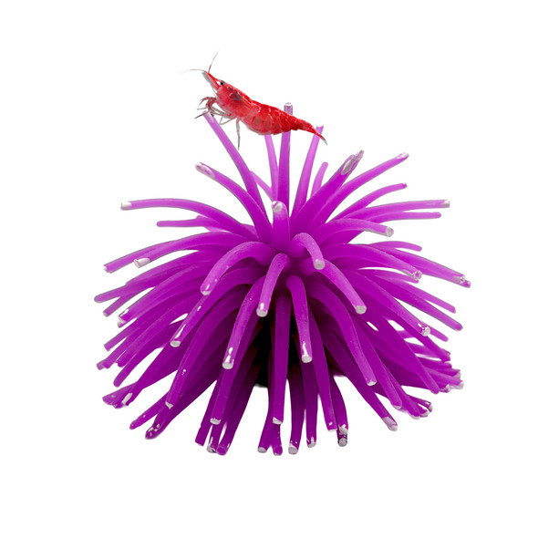 Ctwpets Fluorescent Aquarium Decor Glowing Fish Tank Ornament For Freshwater & Saltwater Safe For Betta Shrimp & Tropical Fish Includes Collector Card (Pink Large)