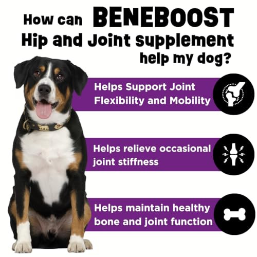 Dinovite Beneboost Hip & Joint Liquid Topper For Dogs Dog Joint Supplement With Glucosamine Chondroitin Msm & Hyaluronic Acid Dog Mobility Support Bacon Flavor 6 Fl Oz