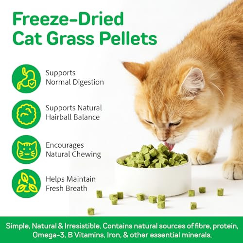 Dnxihitw Cat Grass Treats 120G Cat Grass Pellets Cubes For Indoor Cats Relief Hairball Support Dental Health Normal Digestion Skin And Coat Health Natural Snacks With High Fiber Formula