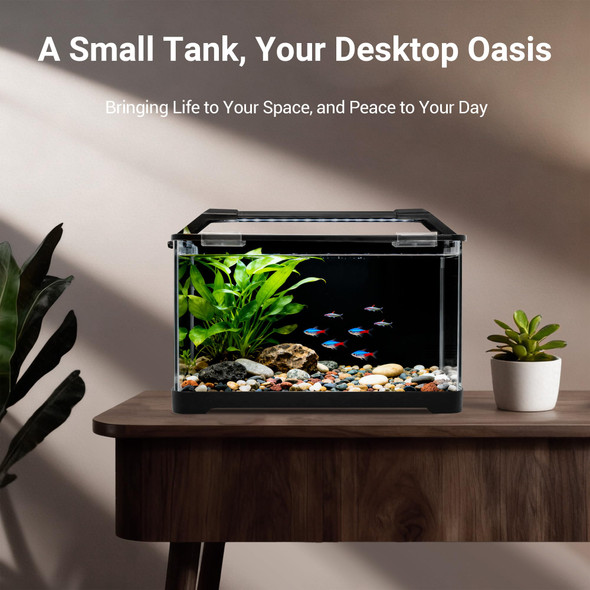Ewonlife 3.5 Gallon Aquarium Starter Kits Betta Fish Tank With Heater Digital Thermometer Aquarium Light With Timer Filtration System And Water Changer Kit Self Cleaning Fish Tank For Nano Fish