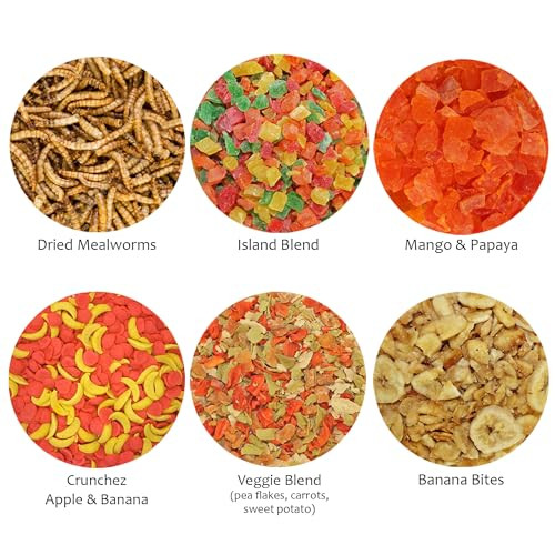 Exotic Nutrition Treat Assortment 6 Pack - Pet Treat With Mix Of Dried Fruits Dried Insects & Other Crunchies - For Sugar Gliders Hedgehogs Squirrels Rabbits Marmosets Rats Hamsters - Sample Variety