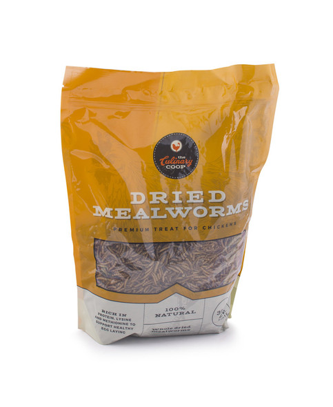 Fluker'S Culinary Coop Premium Chicken Treats Mealworms 3.5 Oz High Protein Worm Nutritious Treat