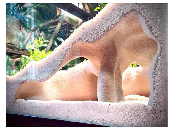 Frosto Aquarium & Terrarium Corner Cave Faux Mangrove Root Hideout For Fish Shrimp Geckos Snakes Natural-Look Reptile Tank Decor In Textured Root Style (Desert Tan (Sand) 7.5''X7.5''X4'')