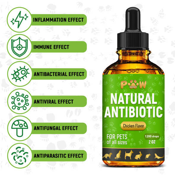 Golden Paw Pet Antibiotics For Cats Dogs Rabbits Works Well As Fish Poultry Reptile Turtle & Chicken Antibiotics Helps With Utis Allergies Runny Nose Herbal Supplement For Digestive Support 2 Oz