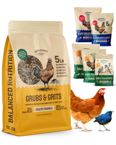 Hatortempt Chicken Feed Supplement - High-Protein Foraging Mix - Poultry Treats For Chickens - Calcium-Rich Poultry Grit For Shell Support - Dried Mealworms & Grubs For Enrichment - Bird Food (5Lb)