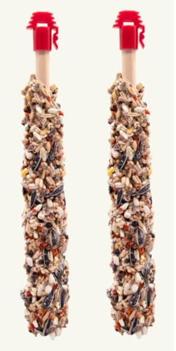 Higgins Sunburst Gourmet Avian Treat Sticks For Conures & Cockatiels. Nuts & Raisins 2Pk. 4.9Oz
