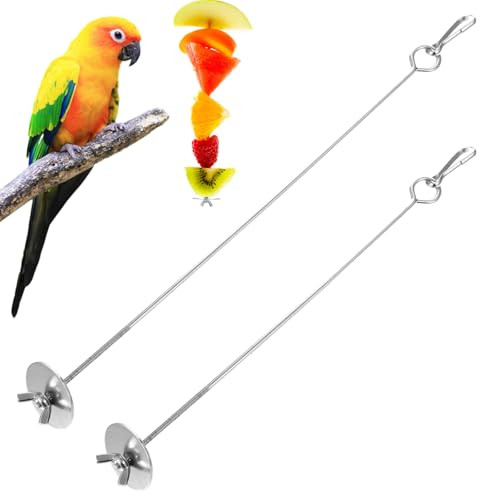 Jxiwfvl 2Pcs Bird Food Holder With Hook Stainless Steel Small Fruit Feeder Animal Bird Food Treats Foraging Toy Skewer Hanging Vegetable Stick Holder Treating Tool Suitable Parrot Cockatoo Cockatiel (Silver)