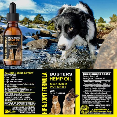 K2Xlabs Busters Hip And Joint Hemp Oil For Dogs Formula With Glucosamine 2Pack 2Month Supply Soothing Relief For Cats And Pets Advanced Mobility Support