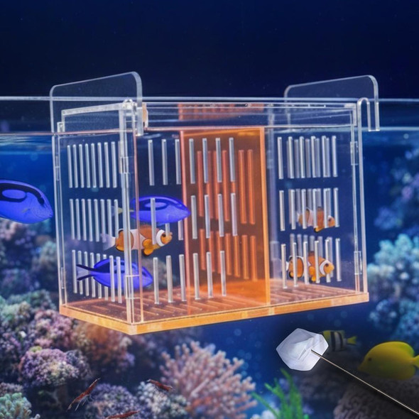 Liyaoli Aquarium Acrylic Breeding Box With Extendable Net - Fish Tank Breeder Box Isolation Acclimation Hatchery For Saltwater & Freshwater Baby Fish Shrimp Betta (Green 7.4X5.3X6.3 In)