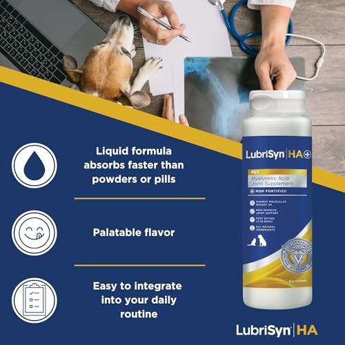 Lubrisynha Hyaluronic Acid With Msm Hip & Joint Care Supplement For Dogs Cats & Horses Liquid Oral Ha For Pets Joint Support Promotes Mobility Flexibility Cartilage Health & Comfort 8Oz
