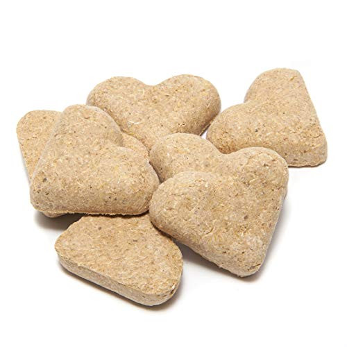 Manna Pro Nutrigood Senior Snax Horse Treats Made With Omega 3 Fatty Acids Biotin And Glucosamine 2 Pounds (Pack Of 2)