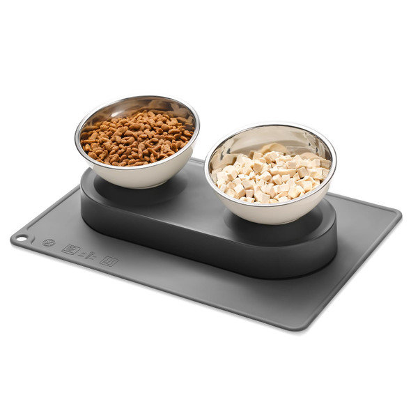 Marchul 2-In-1 Dog Bowl Elevated Cat Food And Water Bowl With No-Spill Mat 15 Tilt Stainless Steel Dish + 500Ml Leak-Proof Bottle Easy Clean Design (Dry/Wet Food & Water)