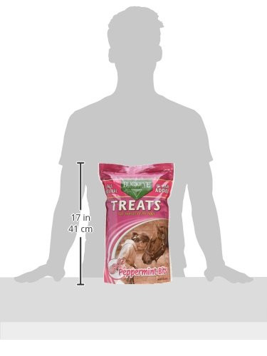Mars Horsecare Us In Buckeye All-Natural No Sugar Added Peppermint Bits Treats For Horses 4 Pounds
