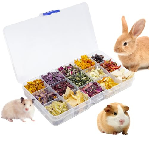 Mhllgn Bunny Treats Treat Box With 15 Kind Of Snacks For Rabbit Hamster Chinchilla Guinea Pig And Other Small Pets Chinchilla Treats Guinea Pig Treat