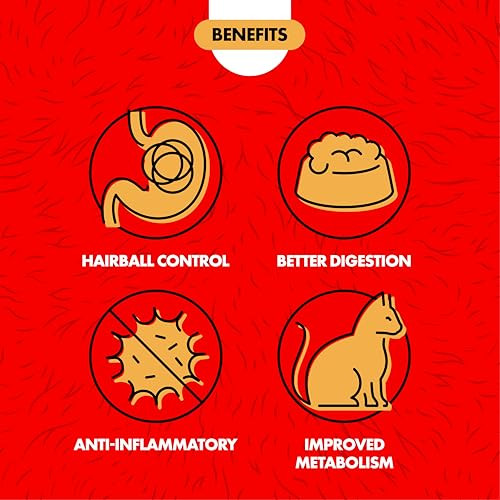 Miracle Care Cat A'Bout Cat Grass Kit For Indoor Cats 5.25 Ounce Hairball Control Anti-Inflammatory Improves Digestion And Metabolism