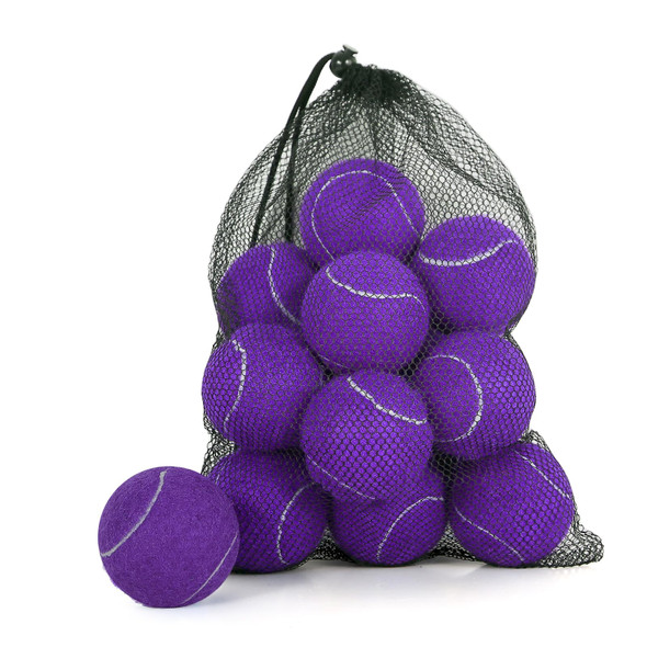 Mrycz Fyrhd 24 Pack Tennis Balls Training Tennis Balls Pet Dog Playing Balls Practice Tennis Balls With Mesh Bag For Transport And Beginner Training