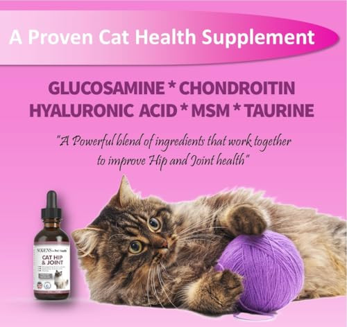 Nodens - Pet Health Nodens Cat Hip And Joint Liquid Glucosamine For Cats With Chondroitin All Natural Cat Joint Supplement For Senior Cats Pain Relief Anti-Inflammatory For Improved Joint Flexibility & Mobility 2Oz