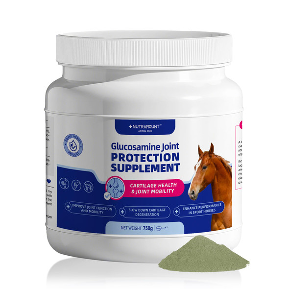 Nutramount Horse Joint Supplement For Horses With Glucosamine Msm & Chondroitin Equine Joint Support & Mobility Supplement For Aging Horses Daily Joint Care& Joint Mobility 10-Day Supply