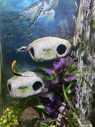 Ornamounts Aquarium Decor Magnetic Rock Cave Ornament Wall-Mounted Fish Tank Accessory