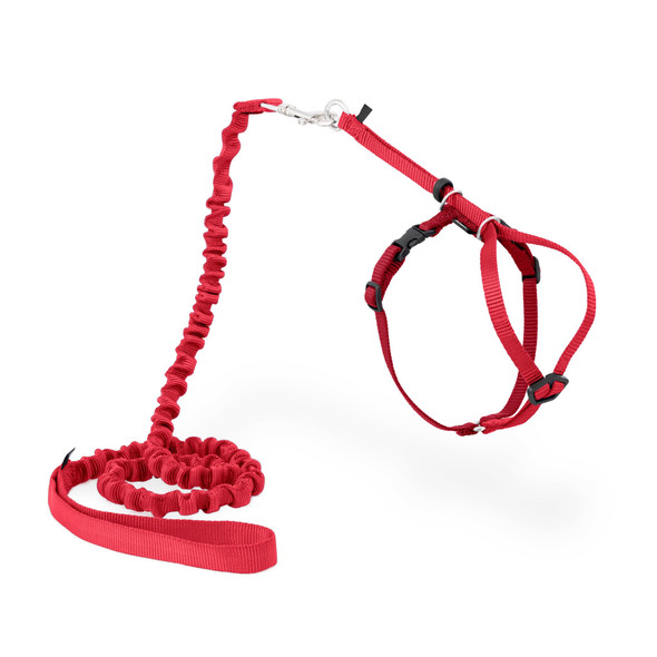 Petsafe Come With Me Kitty Harness And Bungee Leash Medium Red