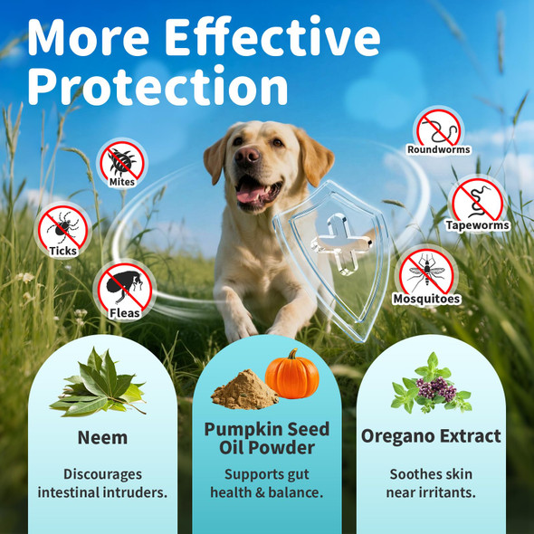 Poppaw Flea & Tick Drops For Dogs Natural Prevention With Neem Oregano & Pumpkin Seed Oil Liquid Supplement Beef Flavor 2 Fl Oz Long-Lasting Protection For All Breeds & Sizes