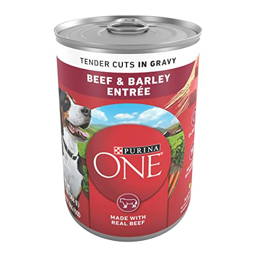 Purina One Natural Wet Dog Food Gravy Tender Cuts In Gravy Beef And Barley Entr E - 13 Ounce (Pack Of 12)