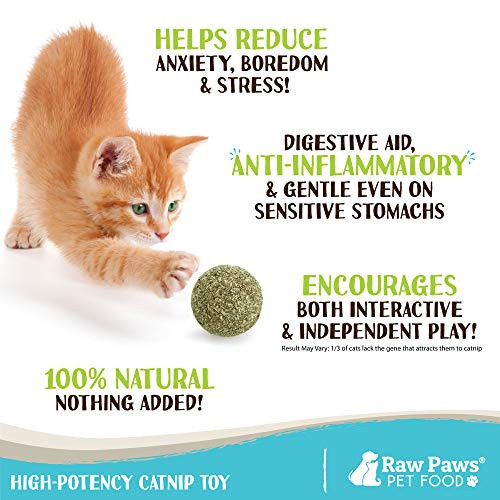 Raw Paws Catnip Balls For Cats (6-Count) - Interactive Cat Toy For Indoor Cats - Cat Nip Licking Balls