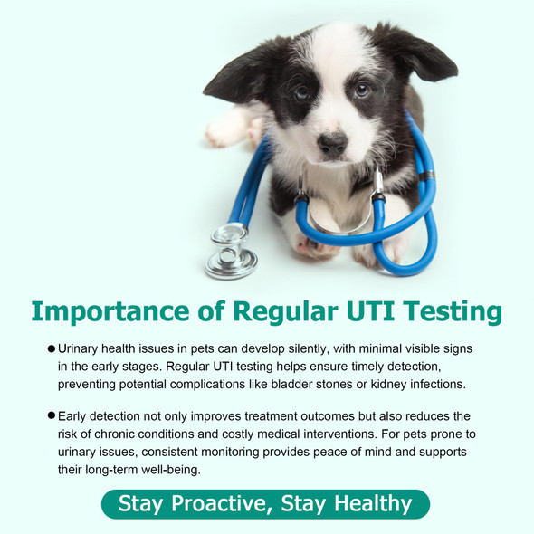 Saysummer Urine Test Strips For Dogs Cats - 100 Counts Urinalysis Test Strips For Pets 3 In 1 Testing Uti Leukocytes Ph Nitrite And More Dog Cat Uti Test Kit For Pets