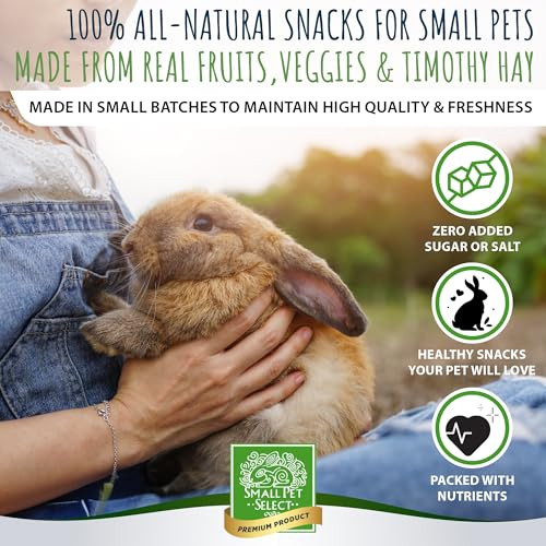 Small Pet Select Healthy Snackers - Apple 4 Oz