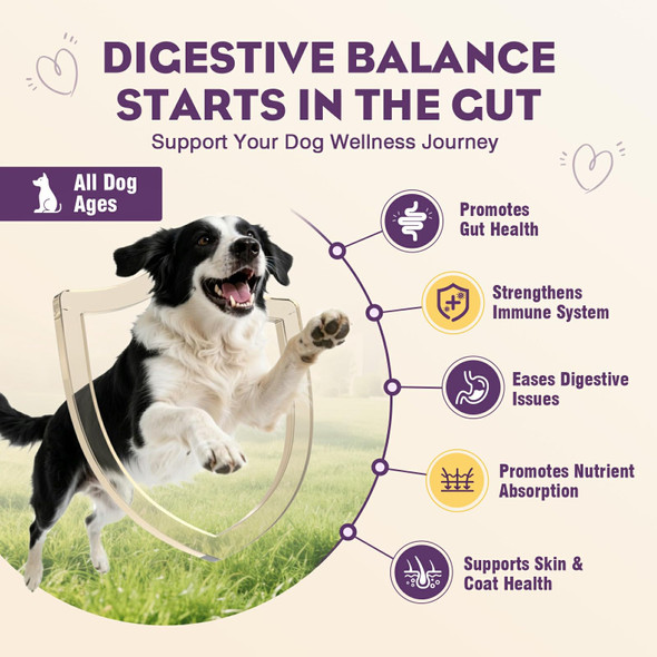 Ttlxrl Probiotics For Dogs 200Pcs Dog Probiotics For Digestive Health Digestive Enzymes And Prebiotic Probiotic Chews For Dogs Support Gut Health Relieve Diarrhea Itchy Skin Enhance Immunity