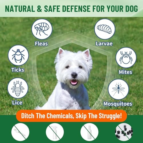 Vicsom Natural Flea And Tick Prevention For Dogs Oral Herbal Dog Flea And Tick Treatment Drops With Pumpkin Seed & Black Walnut For Dogs Skin & Coat Care - Digestive & Immune For All Breeds And Ages 60Ml