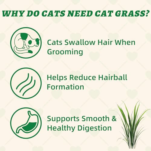 Wellix 13.05Oz Organic Cat Grass Treats With Catnip & Salmon - Healthy Cat Treats For Indoor Cats - Hairball Control & Digestive Support - Kittens Training Snacks For Teeth Cleaning