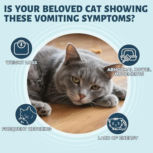 Yakucho Vomiting Relief For Cats Cat Vomit Remedy Probiotic Digestive Support Liquid Helps Reduce Hairballs Relieve Sensitive Stomach & Support Gut Health Gentle Daily Formula - 60Ml