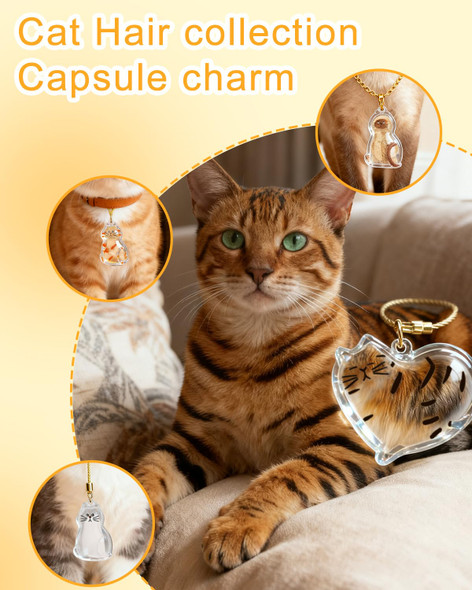 CHICHAUS Cat Hair Holder Keychain  Hair Storage Bottle  Pet Fur Keepsake Hold Fur and  Keys in 6 Heart Touching Styles Always Keep Your Beloved Cat Close Engravable Pet Memorial Gift for Owners