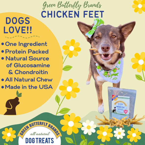 Dog Chews – Chicken Feet for Dogs Sourced and Made in USA. Single Ingredient All-Natural Dog Dental Chew. Chicken Feet Dog Treats Rich in Glucosamine for Joint Health 10 Pack Dog Chews – Chicken Feet for Dogs Sourced and Made in USA. Single Ingredient All-Natural Dog Dental Chew. Chicken Feet Dog Treats Rich in Glucosamine for Joint Health 10 Pack