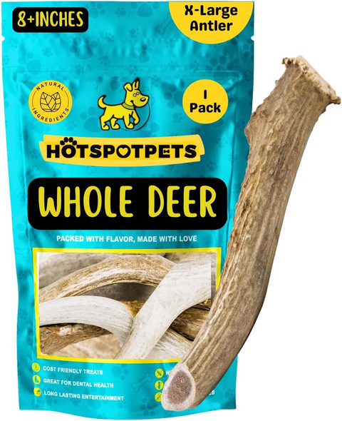 hotspot pets Premium Whole Deer Antlers for Dogs - 8+ Inch X-Large Deer Antler Dog Chews - Naturally Shed for Large Breed Aggressive Chewers - Sourced in USA (1, X-Large Antler)