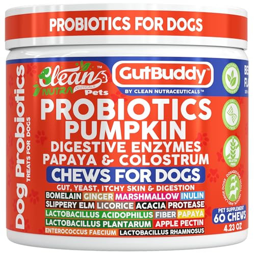 Clean Nutraceuticals Gut Health Probiotics For Dogs + Pumpkin Colostrum Digestive Enzymes Ginger