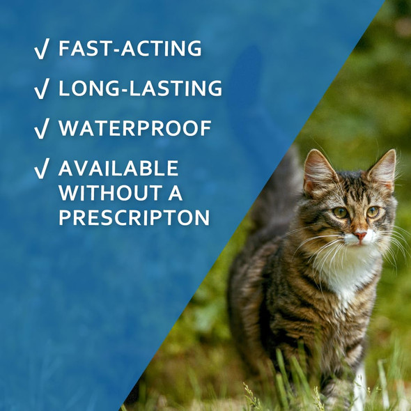 Fiproguard Sentry Fiproguard For Cats Flea And Tick Prevention For Cats And 1.5 Pounds