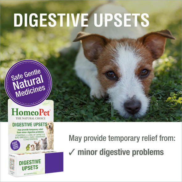 Homeopet Digestive Upsets Safe Gentle And Natural Cat And Dog Digestive Support 15 Milliliters