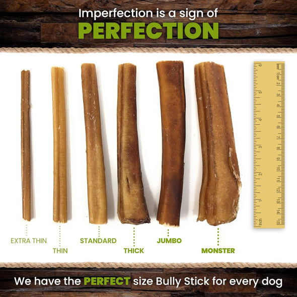 Sancho & Lola's 6-inch Thick Bully Sticks for Dogs (10 count) Grass-Fed -Range Grain- Beef Pizzle Dog Chew Sticks