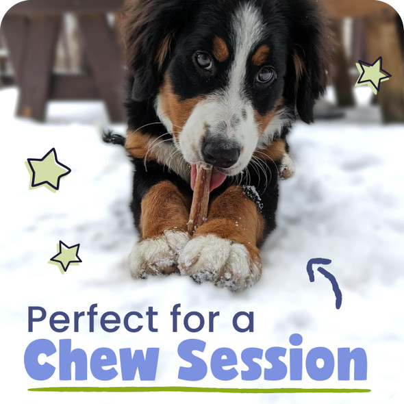 Pawstruck Natural Bizarre Bully Sticks Bargain Bag For Dogs And Puppies 8 Oz Variety Pack