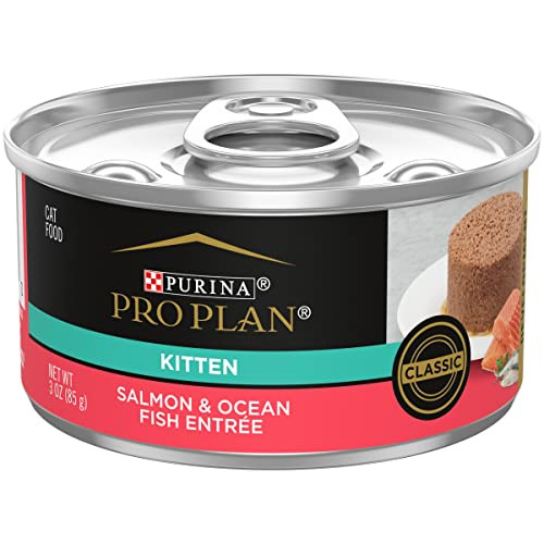 Purina Pro Plan Wet Kitten Food Pate Salmon And Ocean Fish Entree (Pack Of 3 Oz Pack Of 24