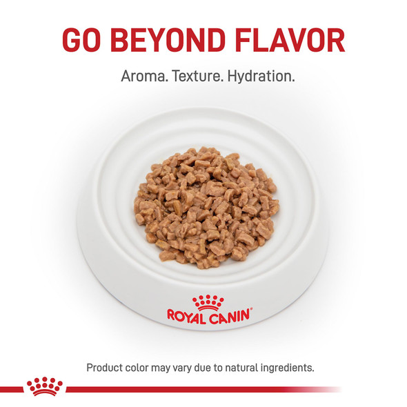 Royal Canin Veterinary Diet Feline Renal Support T Adult Thin Slices In Gravy 3 Oz Pack Of 6