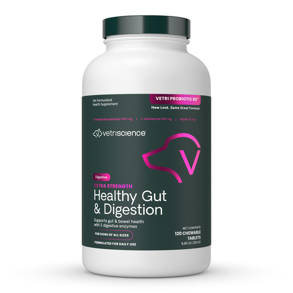Vetriscience Extra Strength Healthy Gut & Digestion Chewable Tablets Probiotic Bd Digestive 120 Count