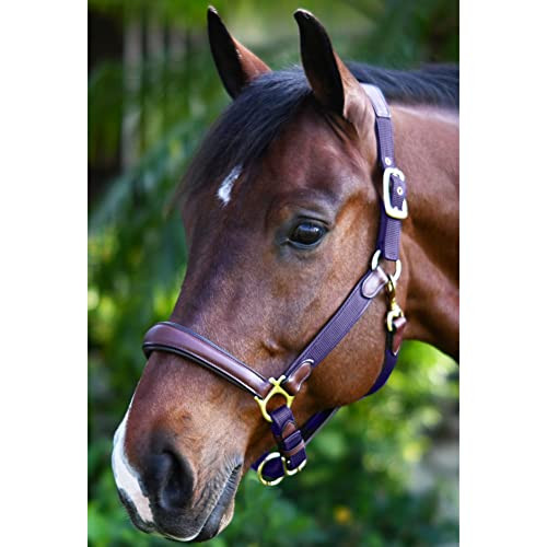 Ovation Equestrian Padded Leather Crownpiece Ergonomic Comfortable Adjustable Chin Luxor CushionFlex Halter Navy